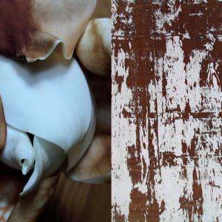 Woodflowers Woodflowers